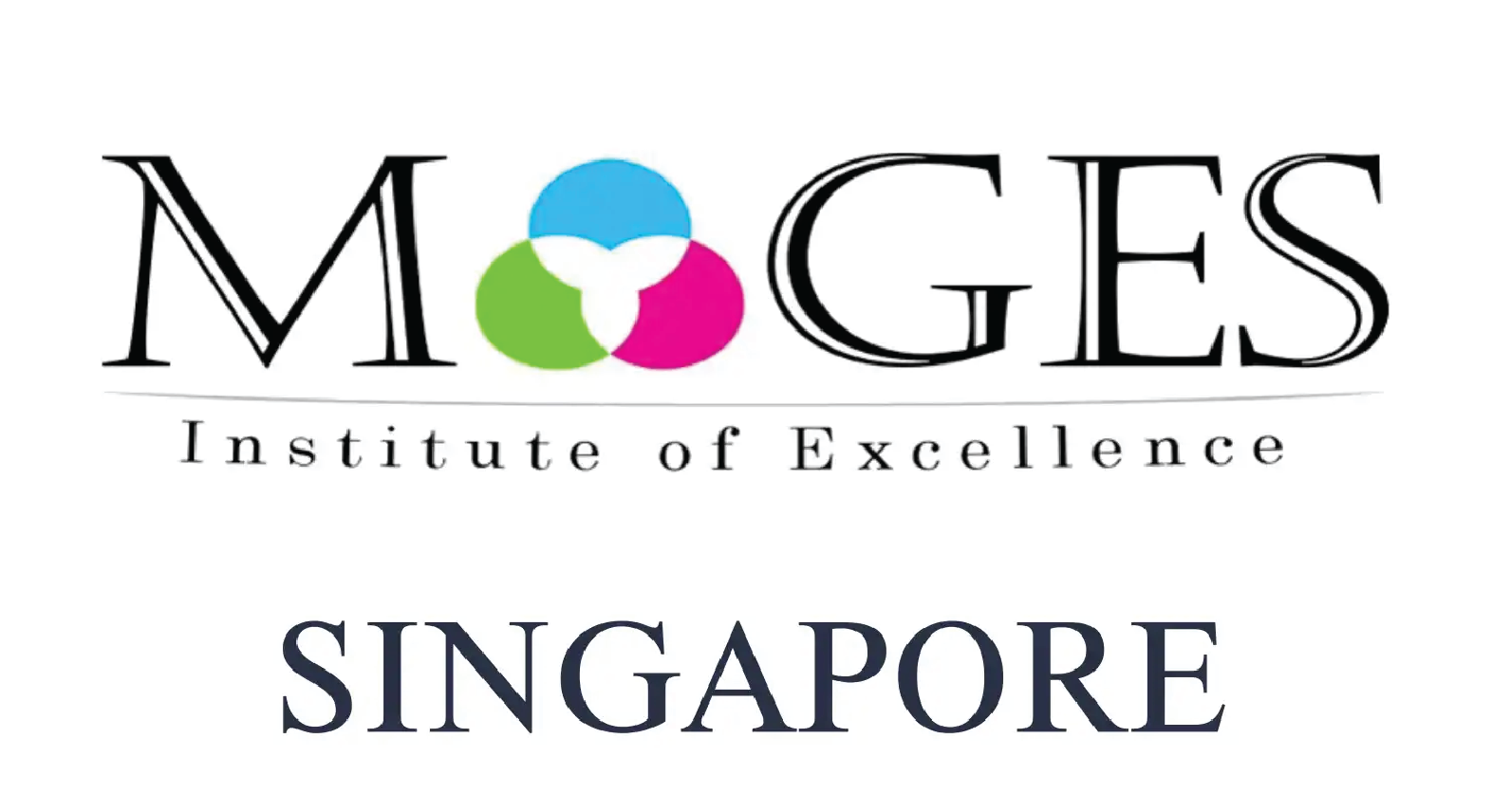 International partner logo 3